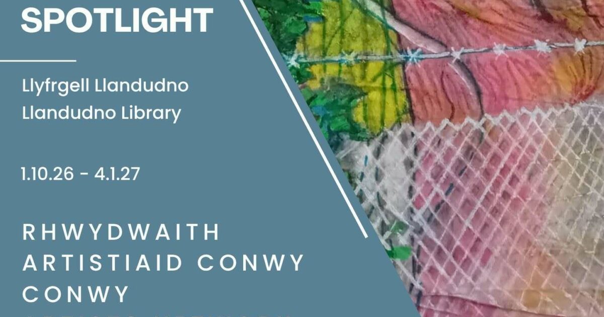Spotlight: Mixed Exhibition at Llandudno Library