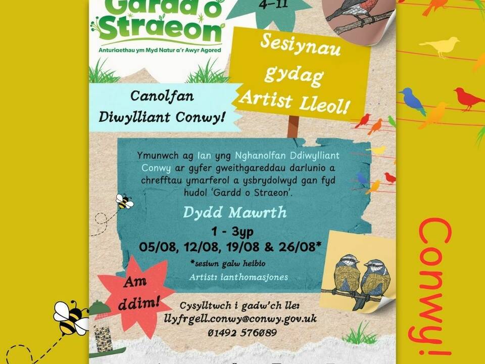 Artist Craft Sessions at Conwy Culture Centre with Creu Conwy!