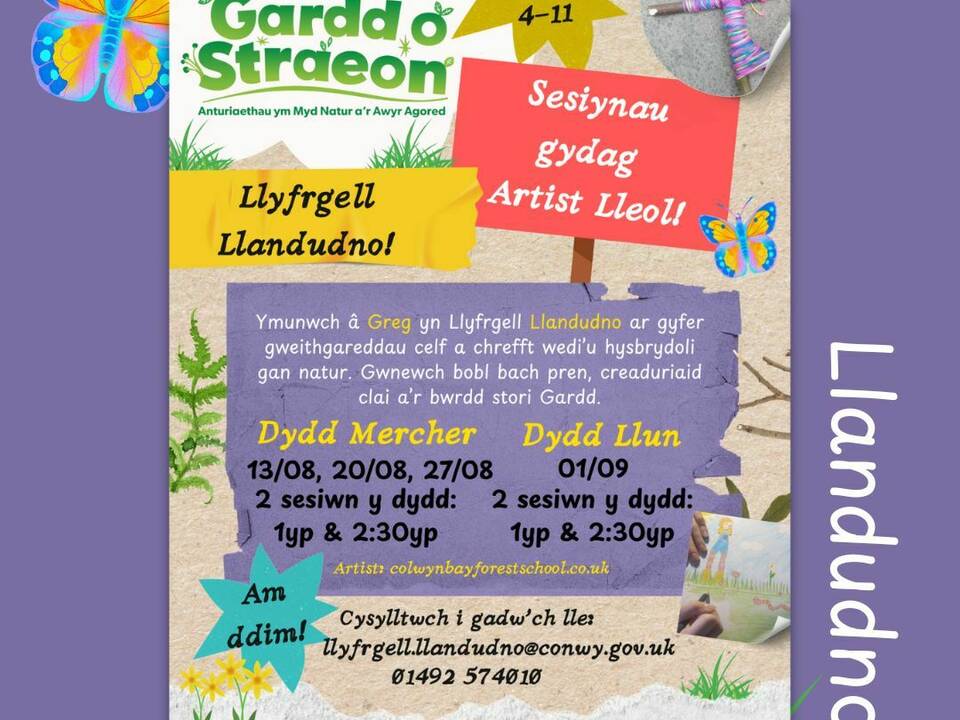 Artist Craft Sessions at Llandudno Library with Creu Conwy!